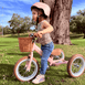 Steel 2 in 1 Trike with Carry Strap Bundle Blush Pink