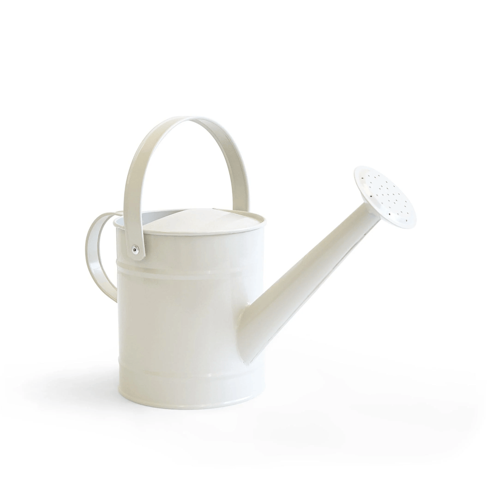 Wheelbarrow Garden Bundle Mustard