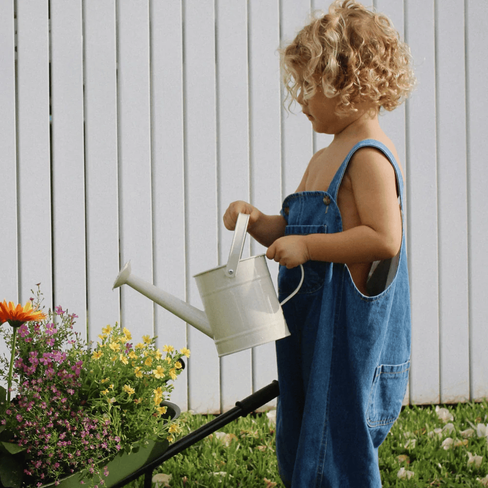 Wheelbarrow Garden Bundle Steel Blue