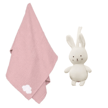 JaBaDaBaDo Gift Kit Pink Blanket & Pacifier Buddy Bunny