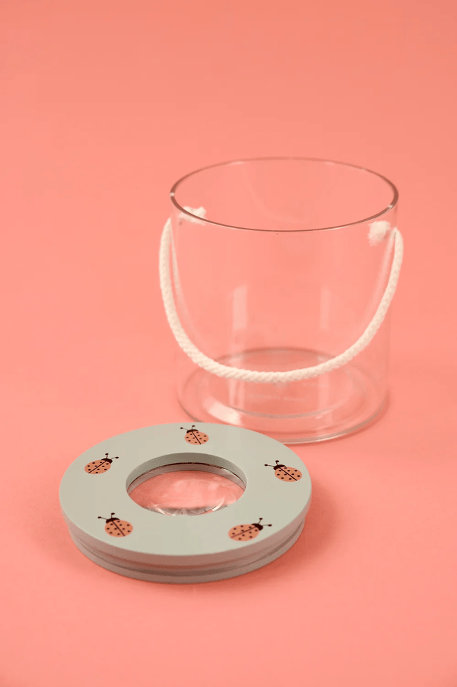 JaBaDaBaDo Insect Jar - Preorder Green