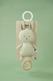 JaBaDaBaDo Musical Bunny Green