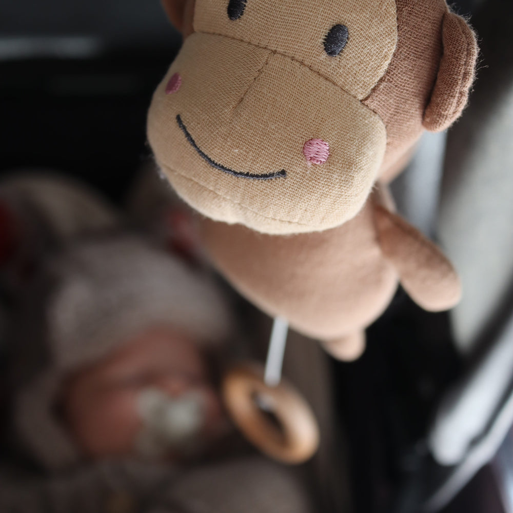 JaBaDaBaDo Musical  Monkey
