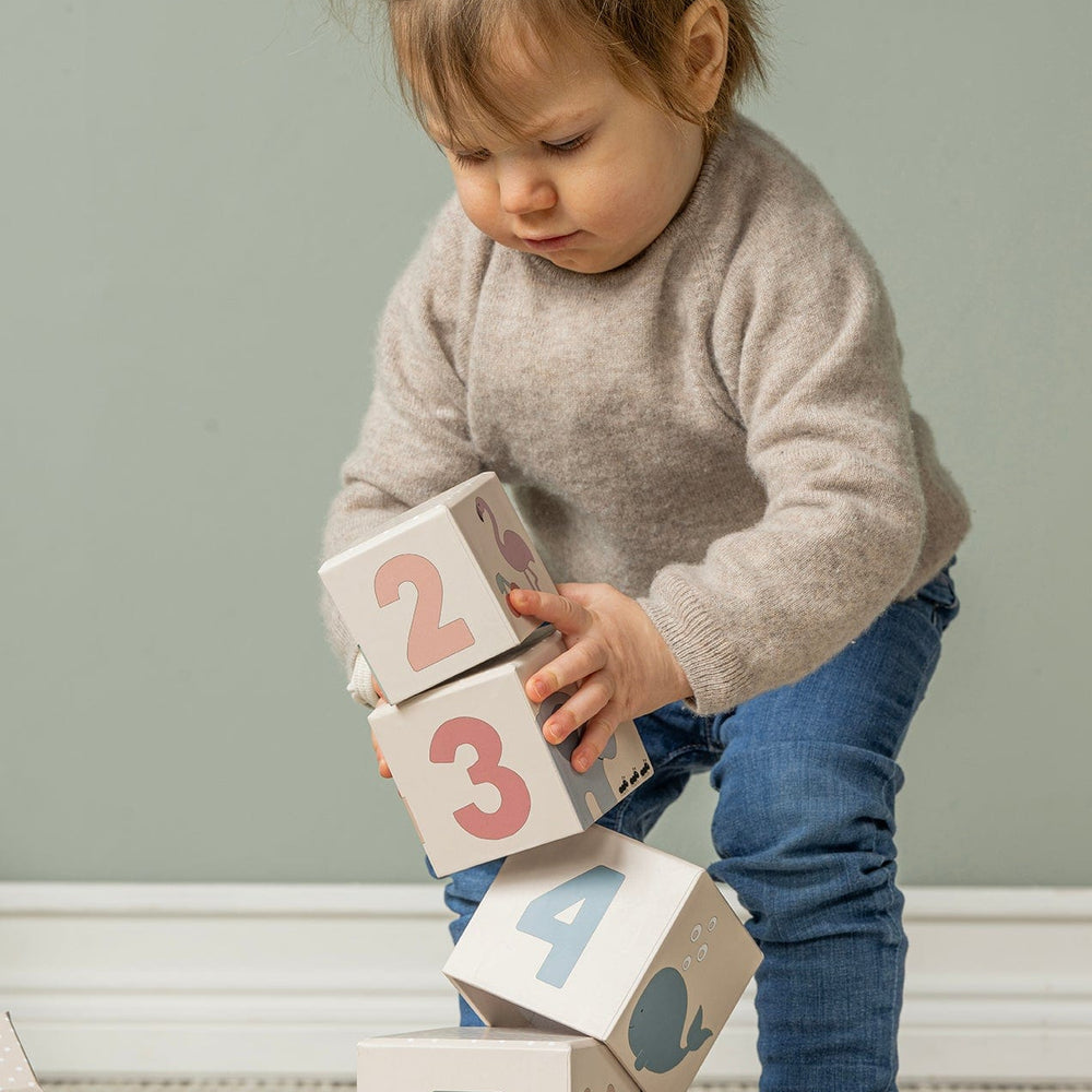 JaBaDaBaDo Play and Learn box 12-18 months