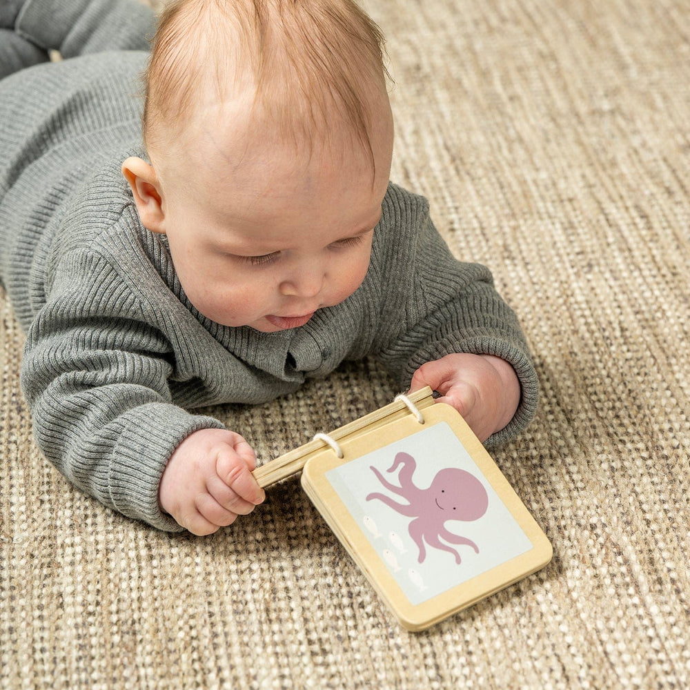 JaBaDaBaDo Play and Learn box 6-12 months