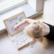 JaBaDaBaDo Play & Learn Letters & Number