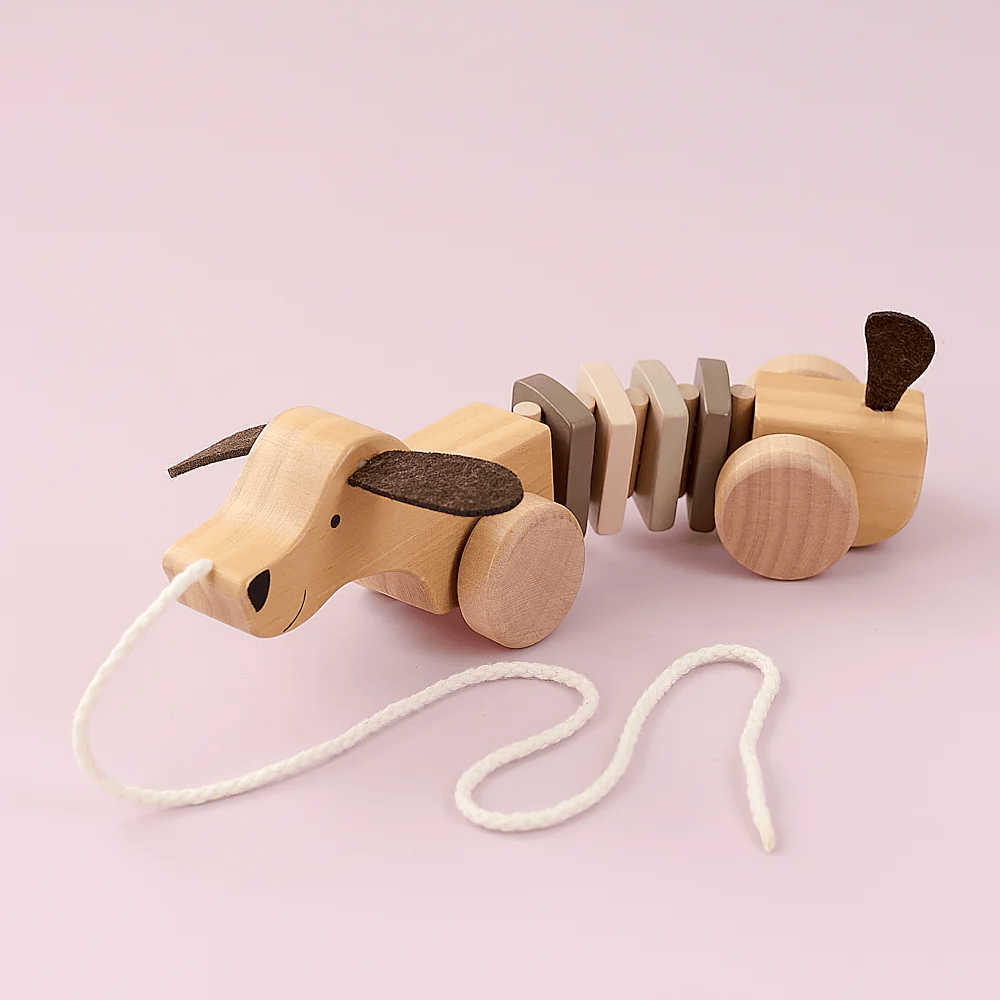 JaBaDaBaDo Pull Puppy