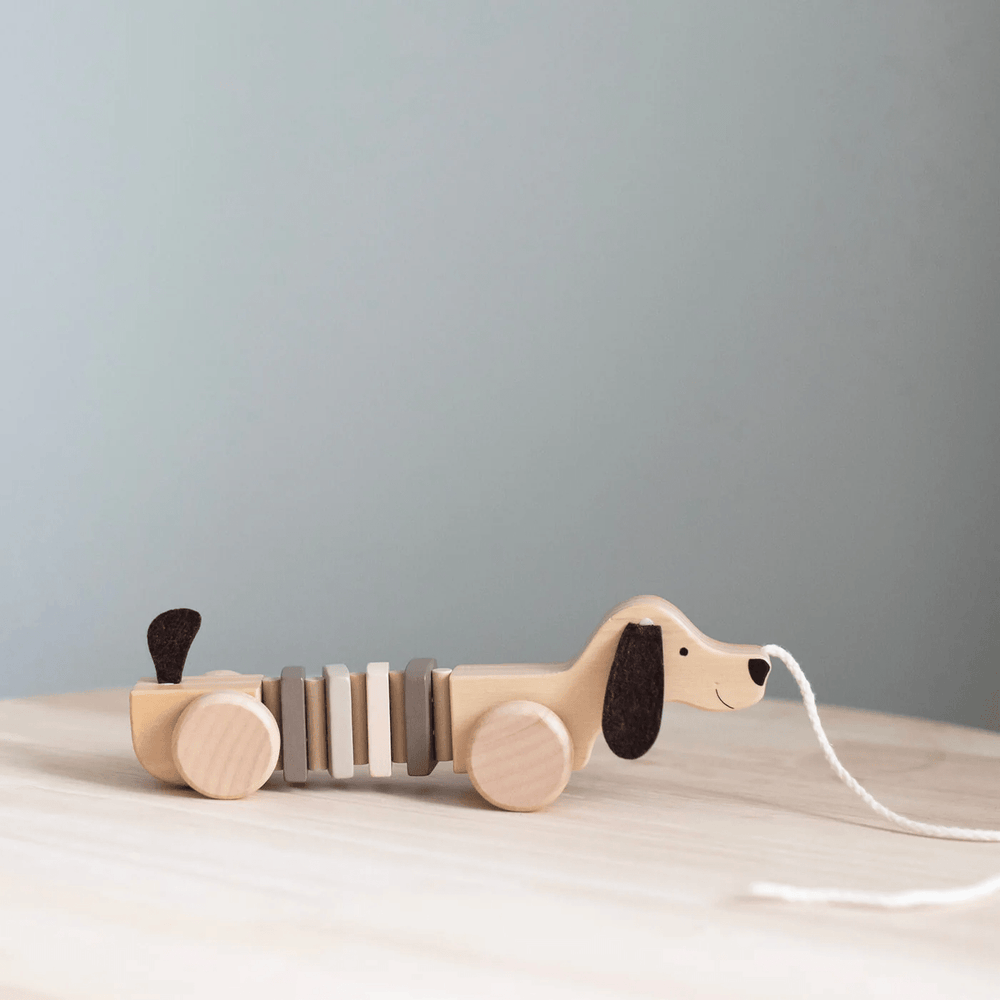 JaBaDaBaDo Pull Puppy