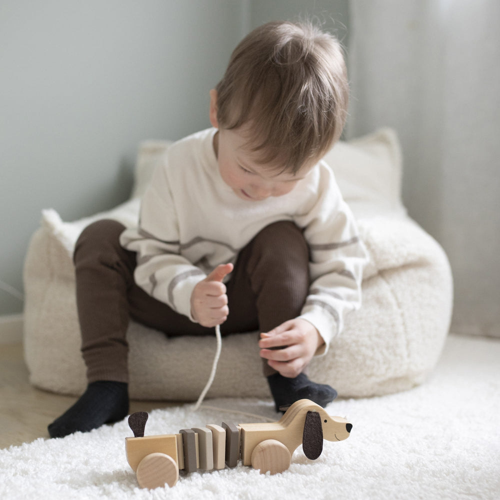 JaBaDaBaDo Pull Puppy