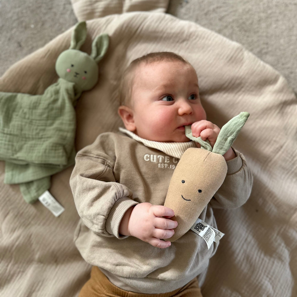 JaBaDaBaDo Rattle Carrot