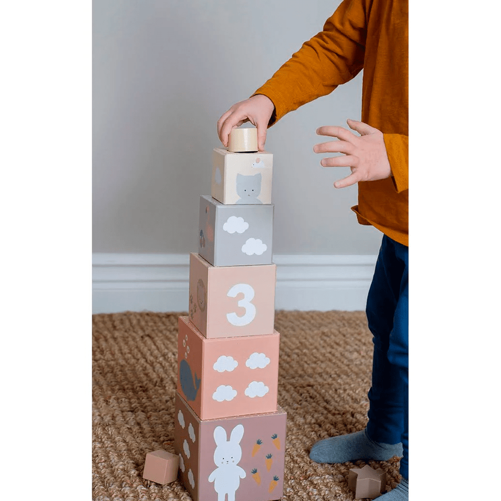 JaBaDaBaDo Stacking and Sorting Cubes Nature 1-5