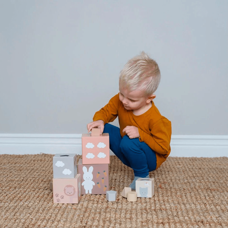 JaBaDaBaDo Stacking and Sorting Cubes Nature 1-5