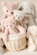 Snuggle Bunnies - George the Bear Powder Pink