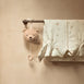 Jollein Musical Teddy Bear Mobile