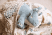 Jollein Stuffed Animal Roarsome - Preorder