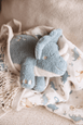 Jollein Stuffed Animal Roarsome - Preorder