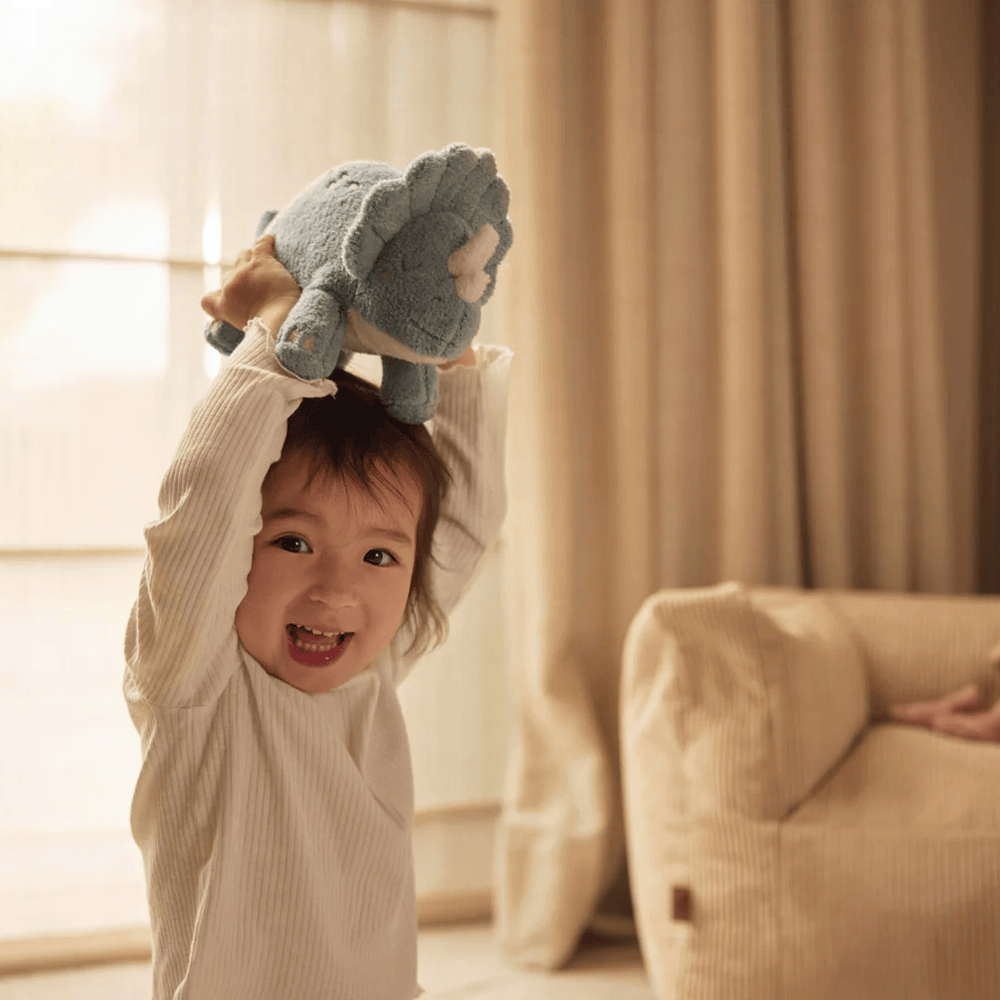 Jollein Stuffed Animal Roarsome - Preorder
