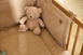 Jollein Plush Teddy Bear Wild Rose