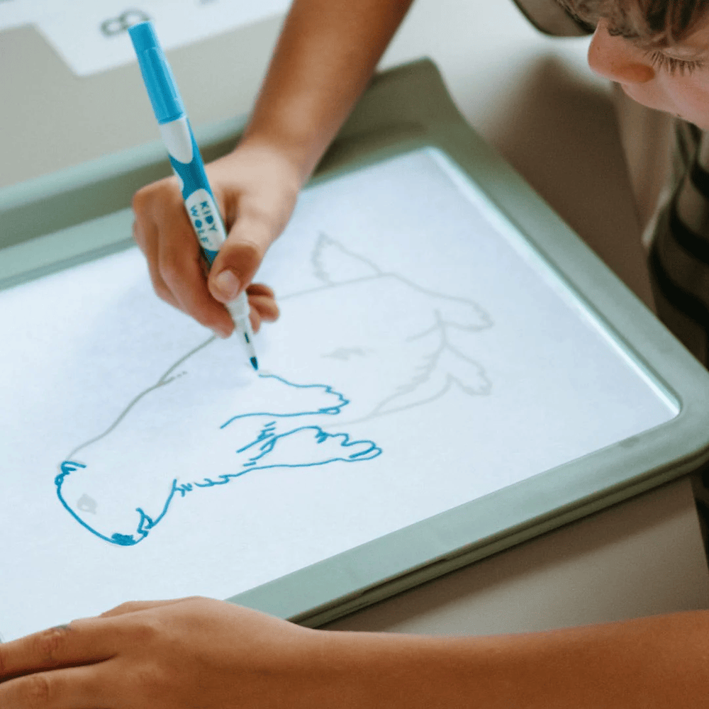 Kidywolf Kidydraw Pro