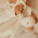 Little Dutch Cuddle Cloth Little  Goose