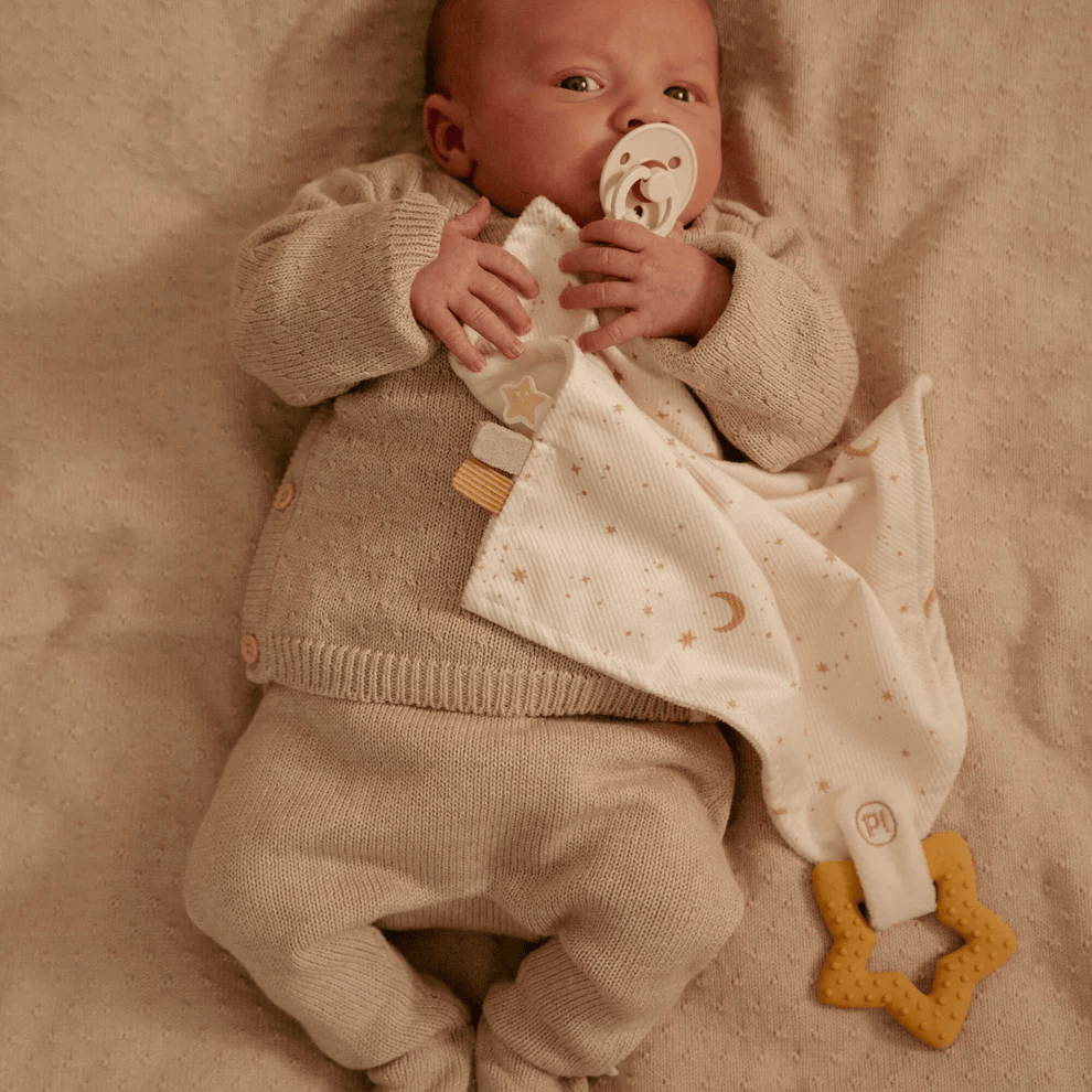 Little Dutch Goose Cuddle Cloth  w/ Teether