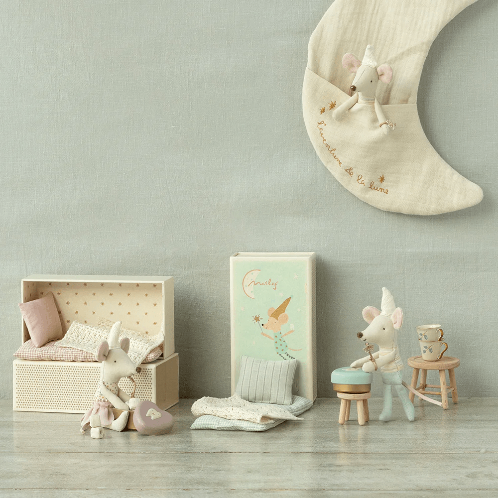 Tooth Fairy Mouse Little Brother in box