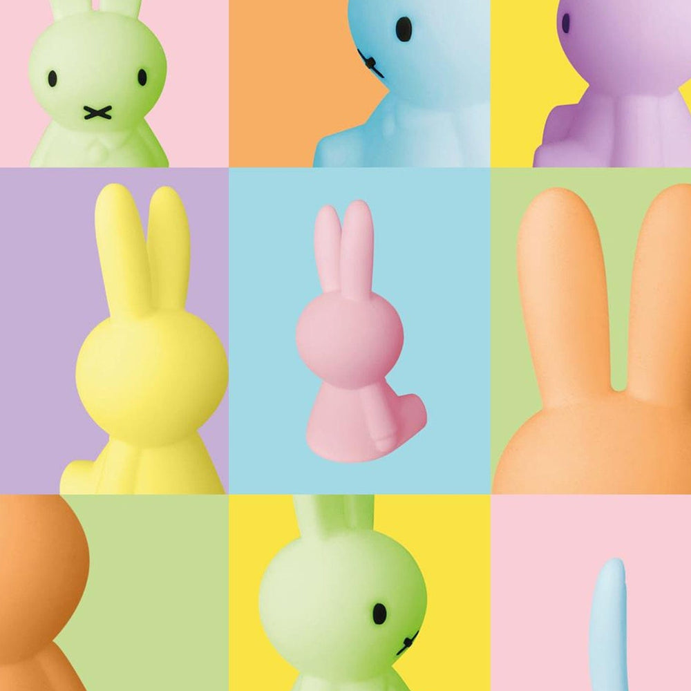 Mr Maria Miffy Colourful Surprise Collection