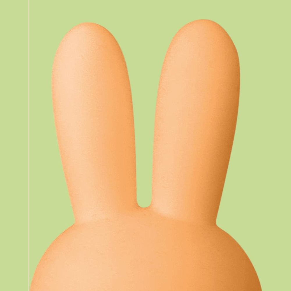 Mr Maria Miffy Colourful Surprise Collection