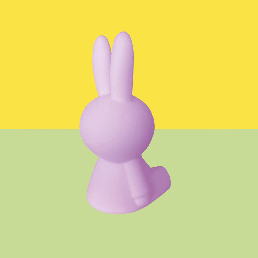 Mr Maria Miffy Colourful Surprise Collection
