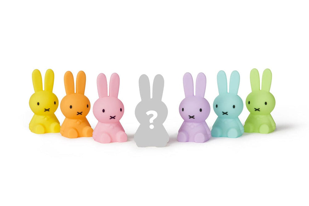 Mr Maria Miffy Colourful Surprise Collection