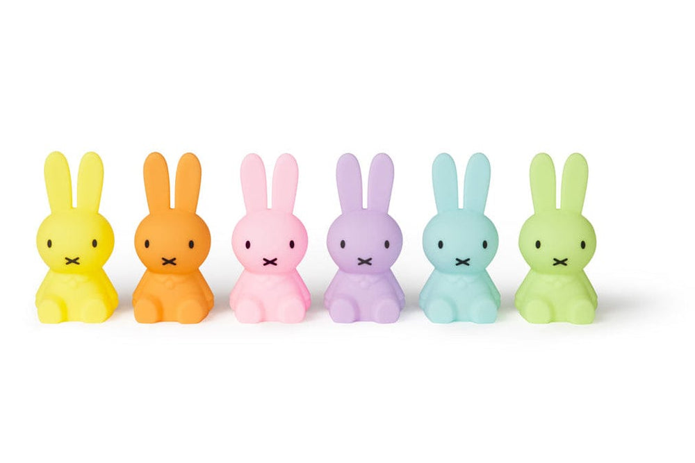 Mr Maria Miffy Colourful Surprise Collection