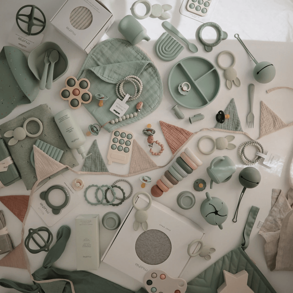 Mushie Pacifier Case Cambridge Blue