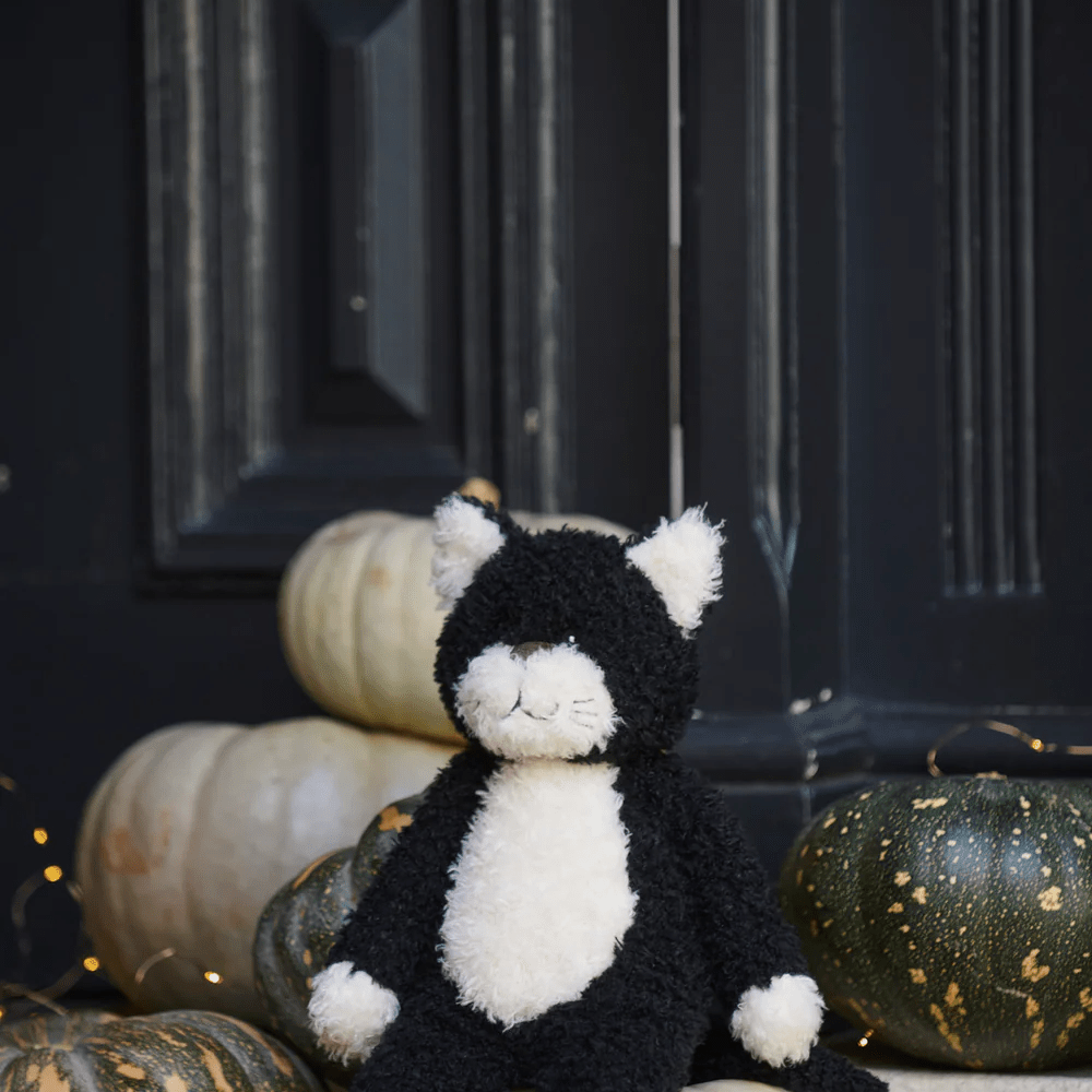 Nana Huchy Checkers the Cat Black