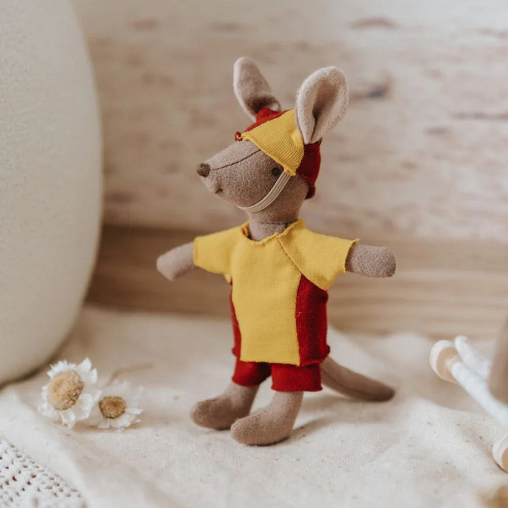 Rugaroo The Surf Rescuer