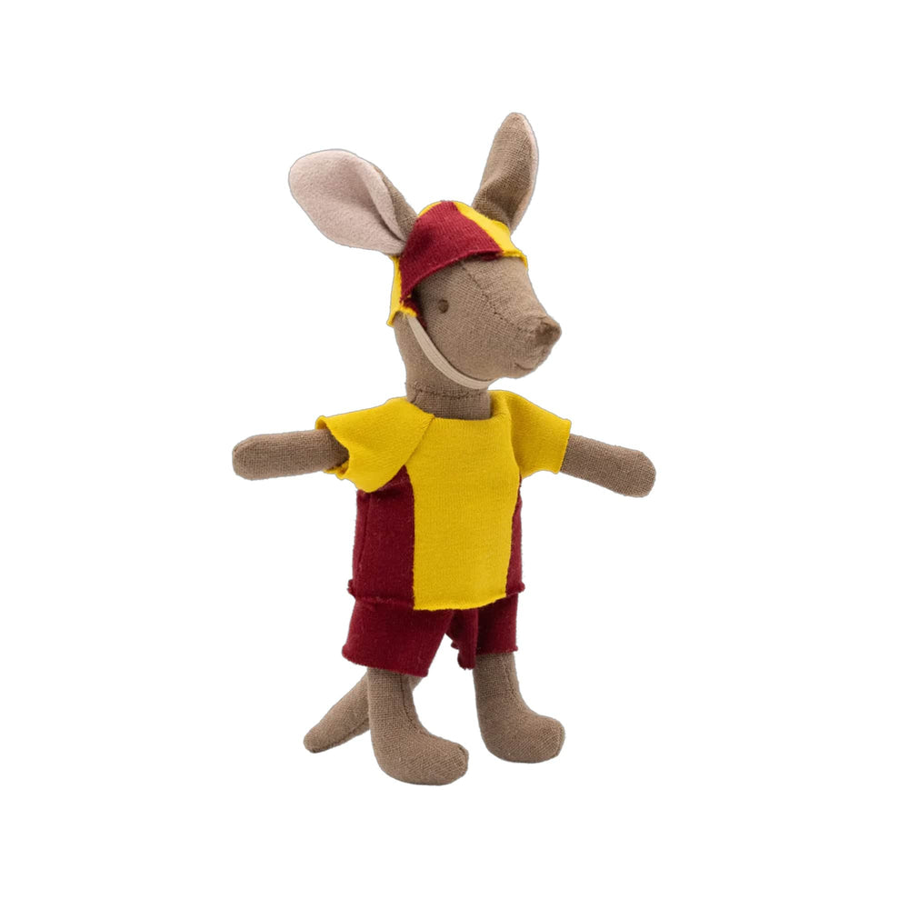 Rugaroo The Surf Rescuer