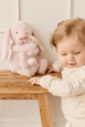 Snuggle Bunnies - Frankie the Bunny - Blossom 30cm
