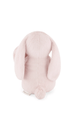 Snuggle Bunnies - Frankie the Bunny - Blossom 30cm