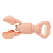 SUNNYLiFE Sand Claws Lobster Coral