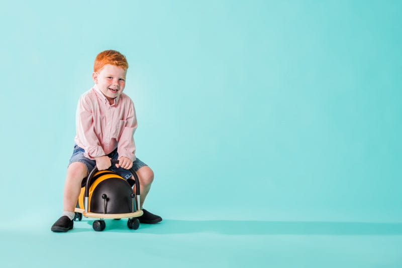 Small Bee Wheely Bug