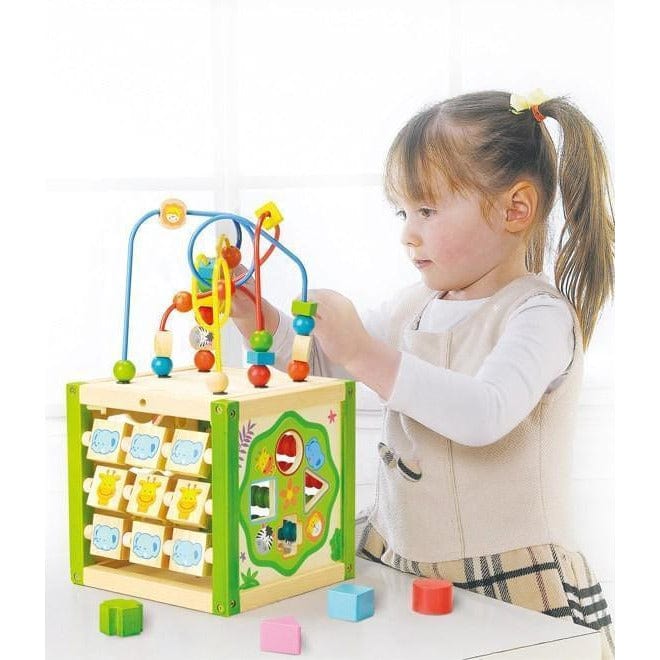 Ever Earth My First Multi-Play Activity Cube-