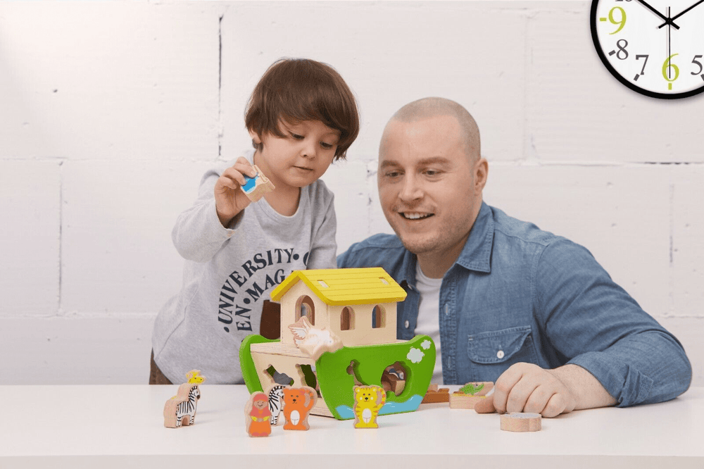 Everearth shape deals sorter