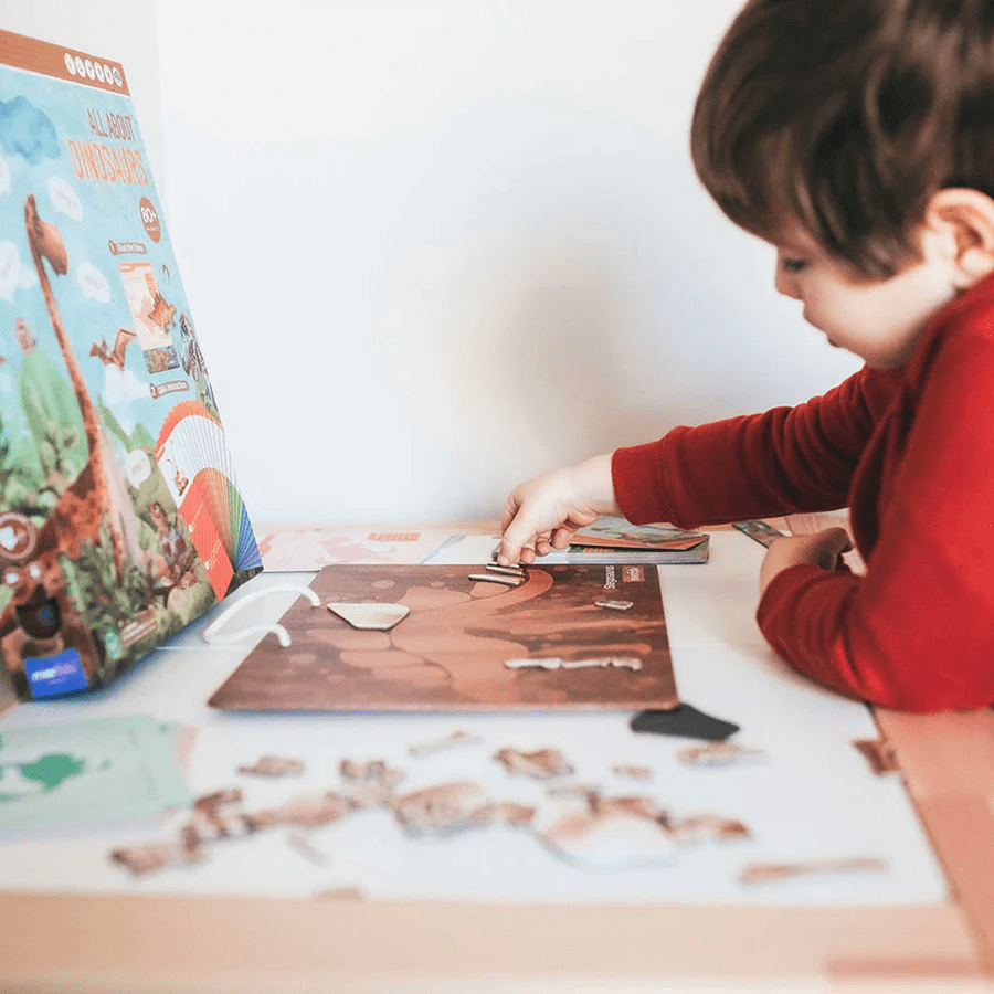 Mieredu All About Series - Dinosaur