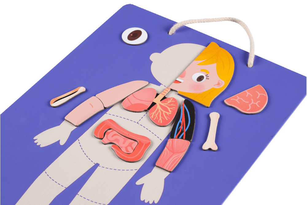 Mieredu Magnetic Kit - My Body + Emotion