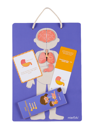 Mieredu Magnetic Kit - My Body + Emotion