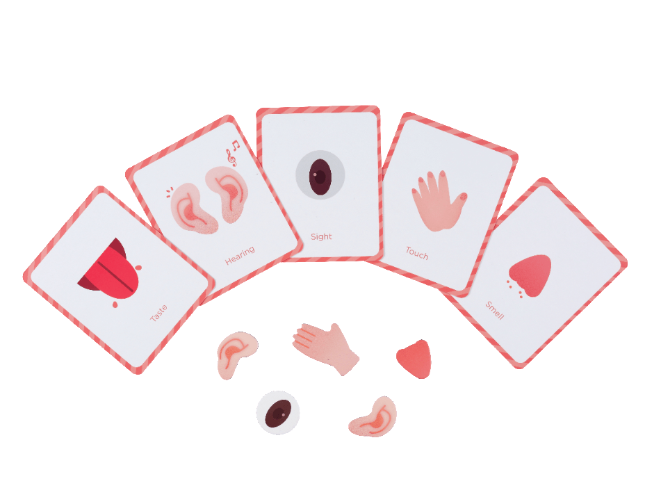 Mieredu Magnetic Kit - My Body + Emotion