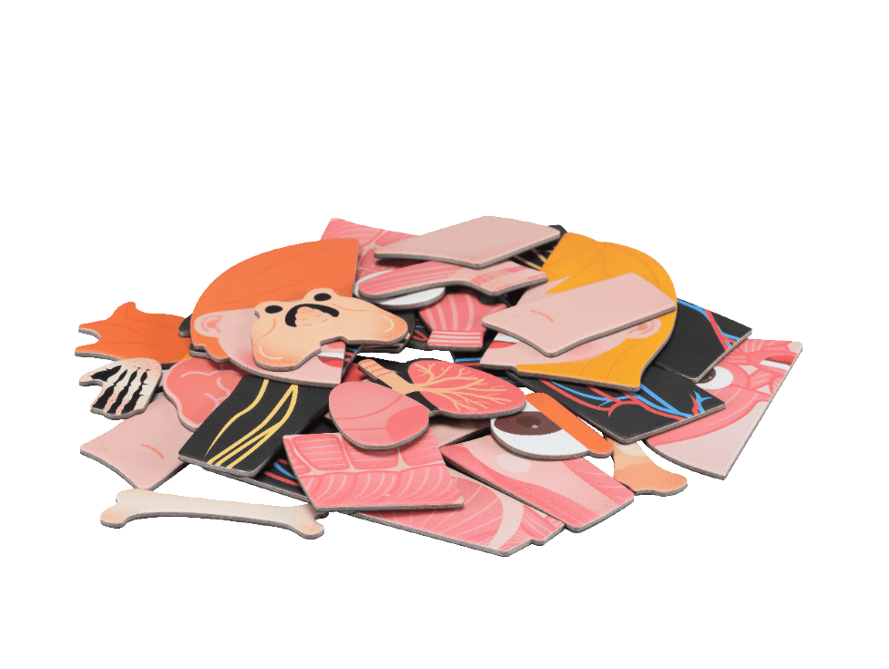 Mieredu Magnetic Kit - My Body + Emotion