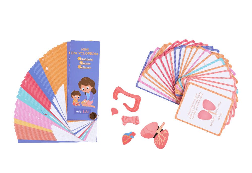 Mieredu Magnetic Kit - My Body + Emotion