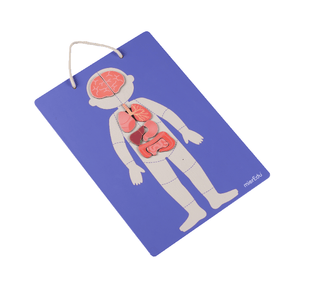MierEdu Kit Matematica ME335 – Tavola Delle Gocce Di Pioggia Per Imparare Numeri E Quantità Giocando