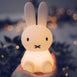 Mr Maria Miffy Bundle of Light