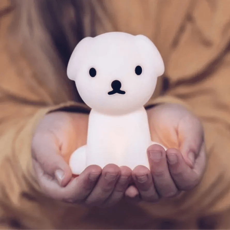 Mr Maria Snuffy Bundle of Light